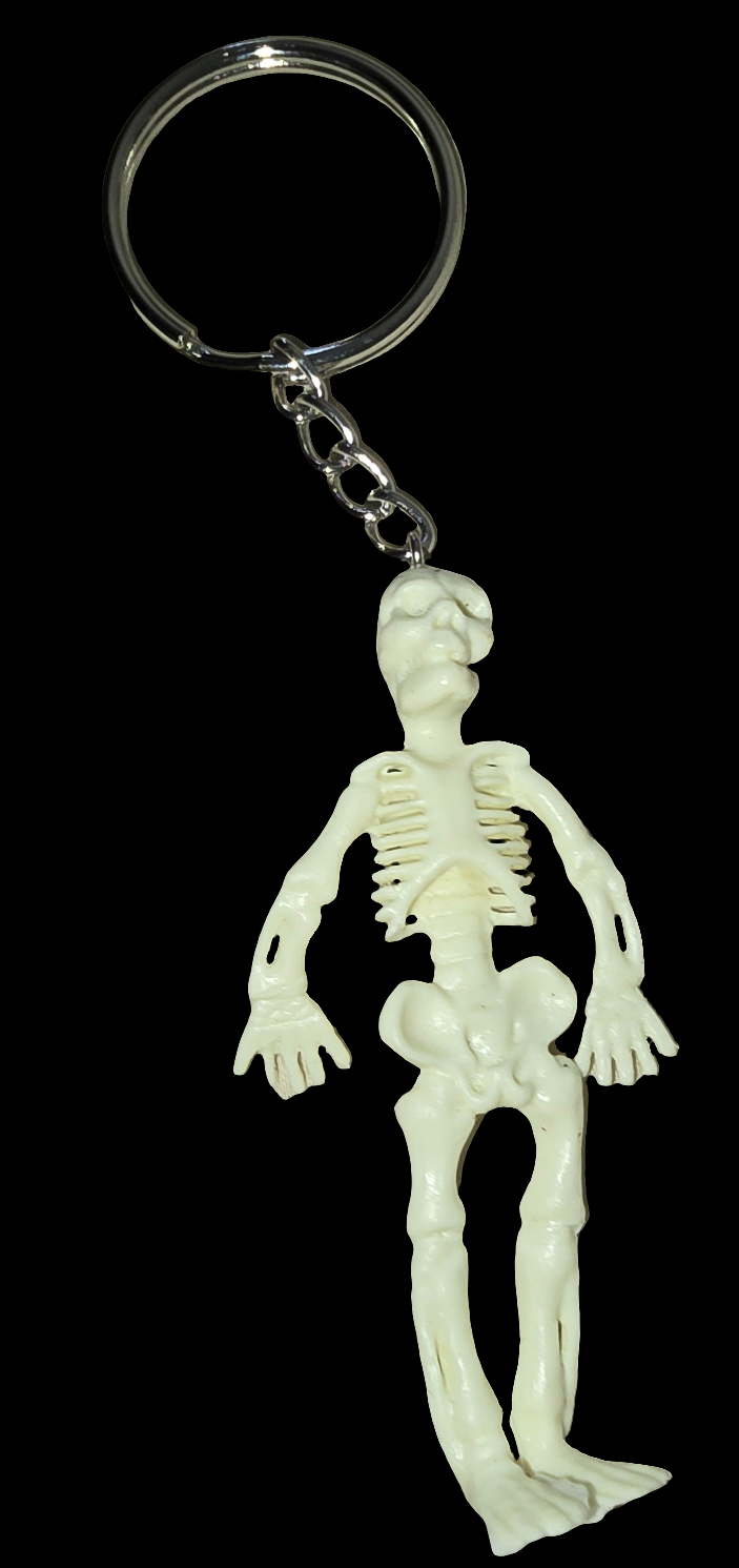Skeleton keychain