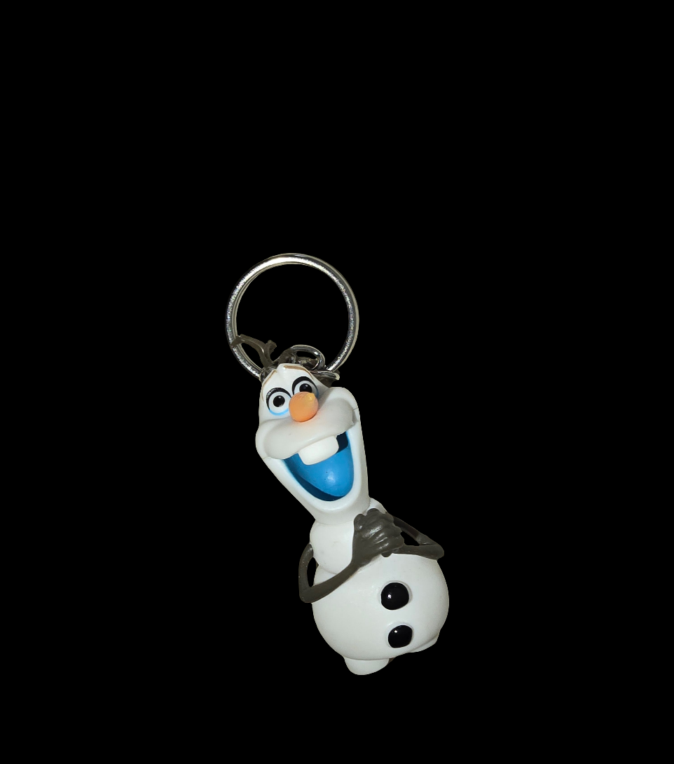 Frozen keychains