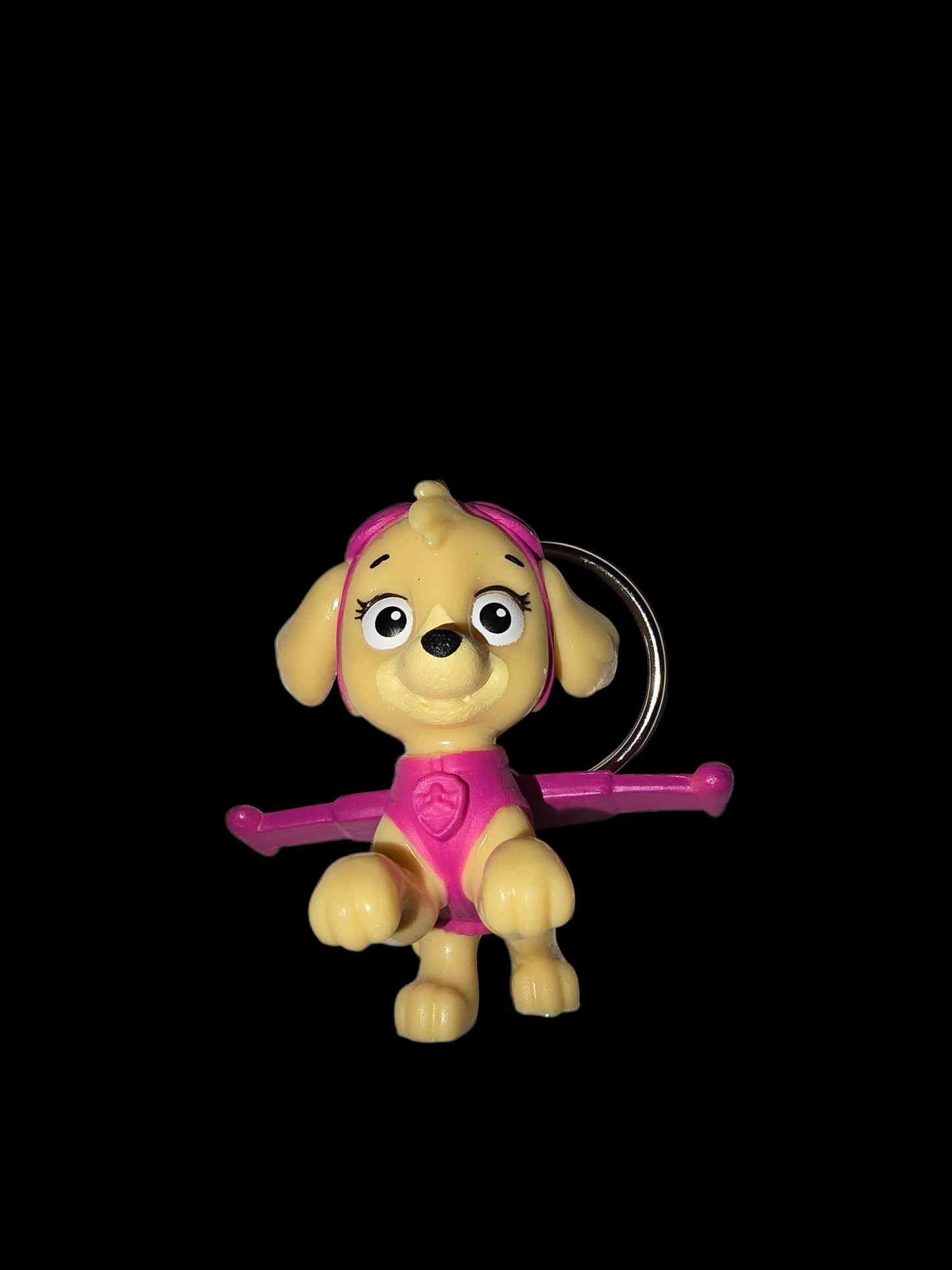 Paw patrol keychains