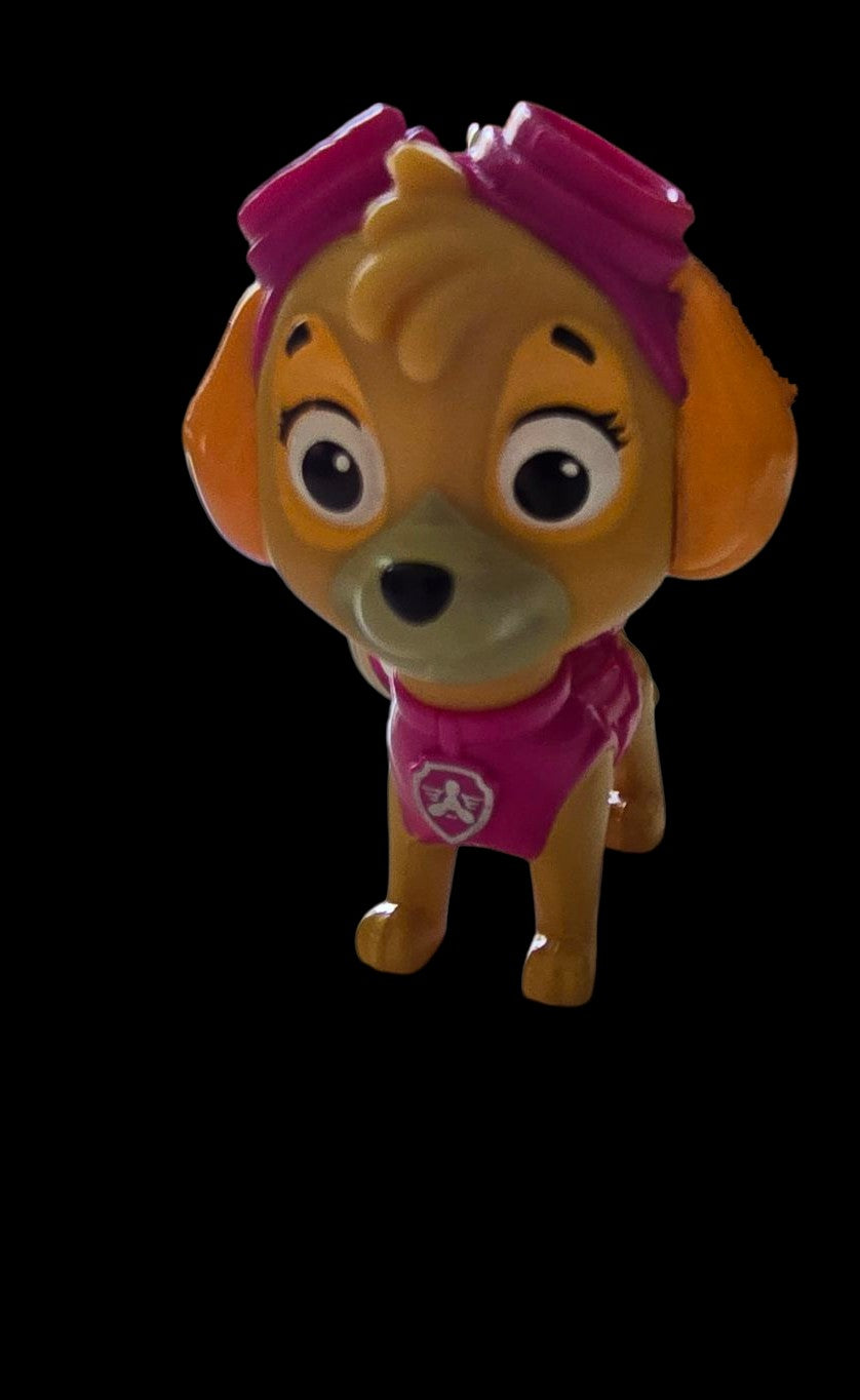 Paw patrol keychains