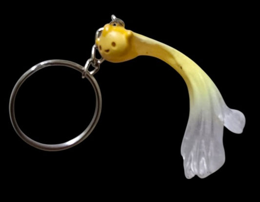 Wish keychains